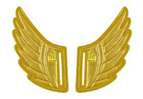 Аксессуары для кед крылья SLOT Shwings WINDSOR 20101 золотые